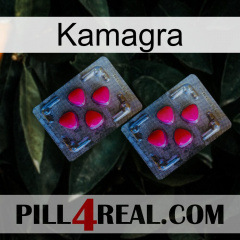 Kamagra 14